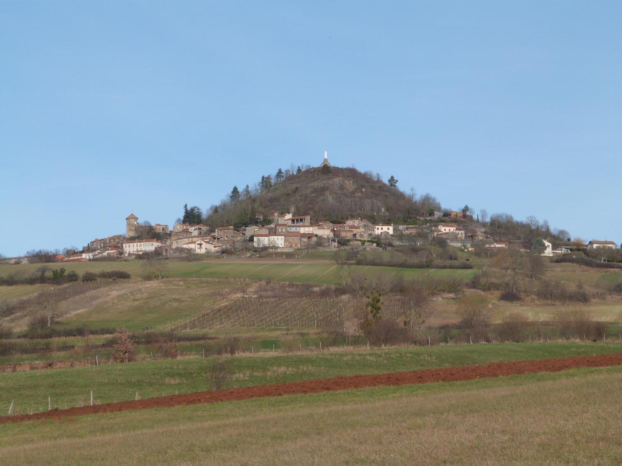 Chateau Des Aiguilles Saint-Remy-de-Chargnat Exterior photo